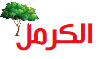 الكرمل للإعلام