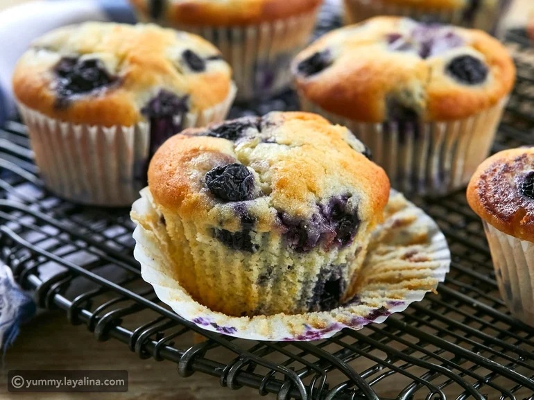 4 ����� ������ ������ ������ ������� �� �������