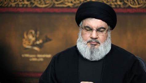 ���� ���: ����� ��� ���� ���� ���� ����