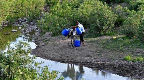 ������ ����� ���� ��� ������ ������� ����� �� ����