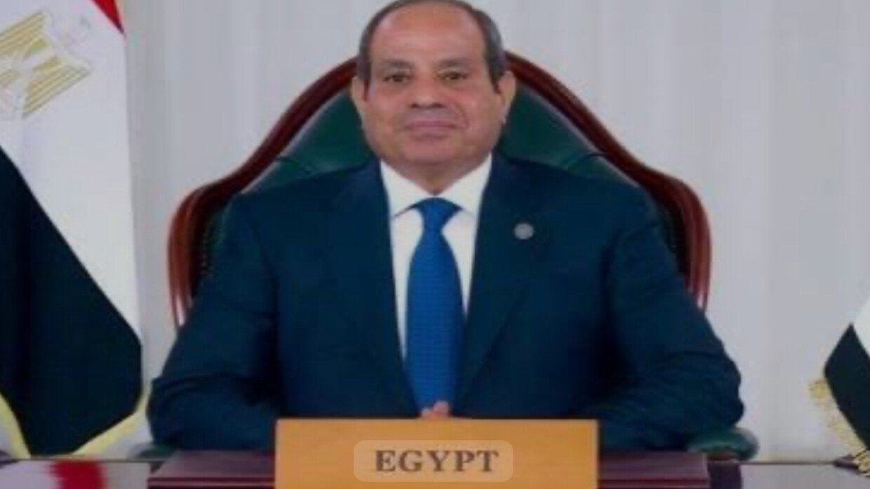 ������ ���� ������ ���� ����� ������� ���8 �������