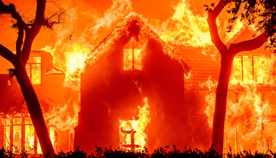 ����� ����������: ������� ����� ����� ����� ������ �������