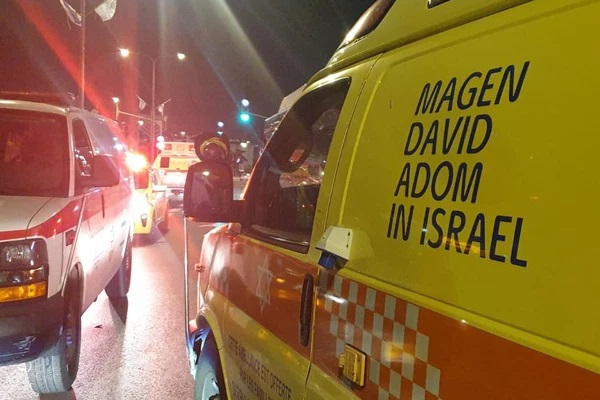  ���� ����� �� ������� ������ : ������ ������ ��� �� 11 ����