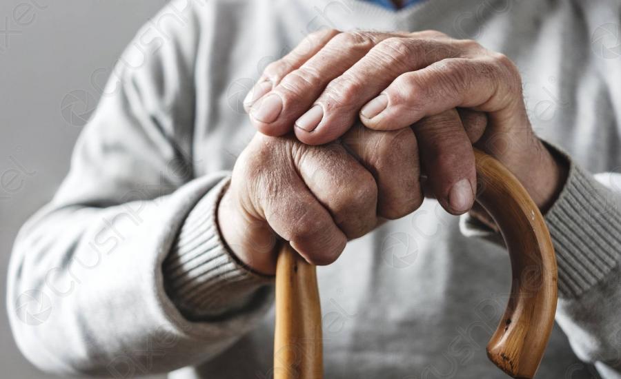 �������� ����� ����� ���� ����� ���� �� ����� 82 ����