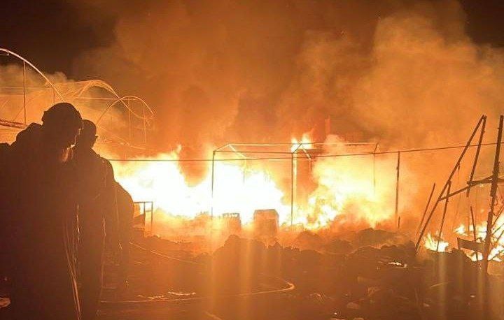 ���� ����� ��� ���� ��� : ����� ��������� ������� ������ ������ ������ 