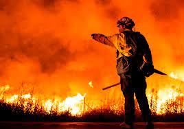 ������ ����� ����� ��� ������ ���� ��� 6 ��� �� ���� ��� 1 ��� �� ���� ������