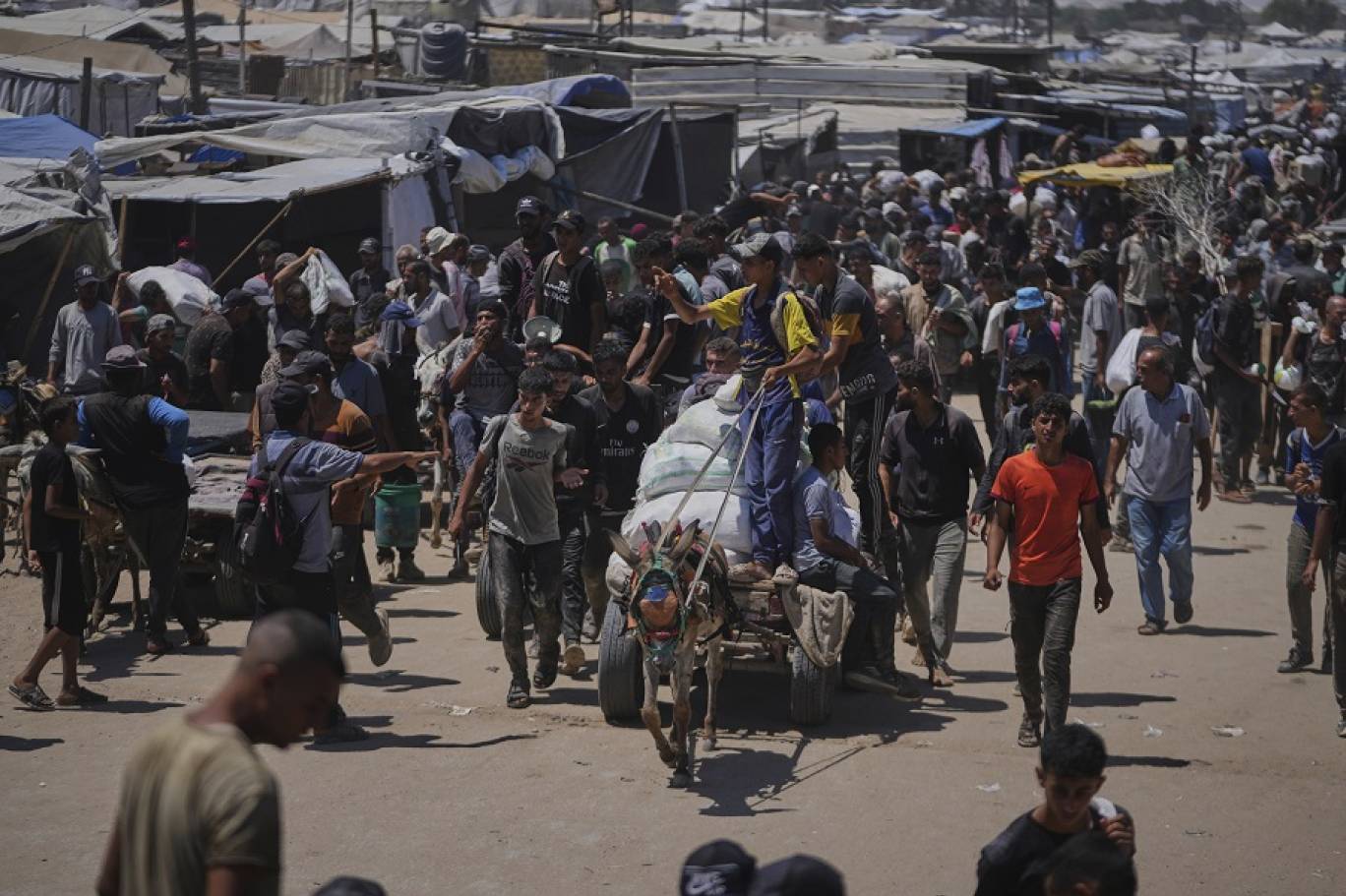 ���� ����� ��� �������� ��� ������ ����� ������ 