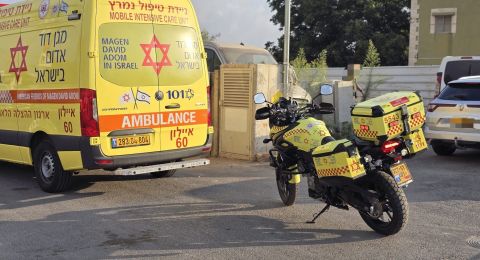 ���� ����� ��� �� ������� ������ ���� �����