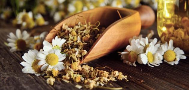 ���� ����� ������ �������� ��������