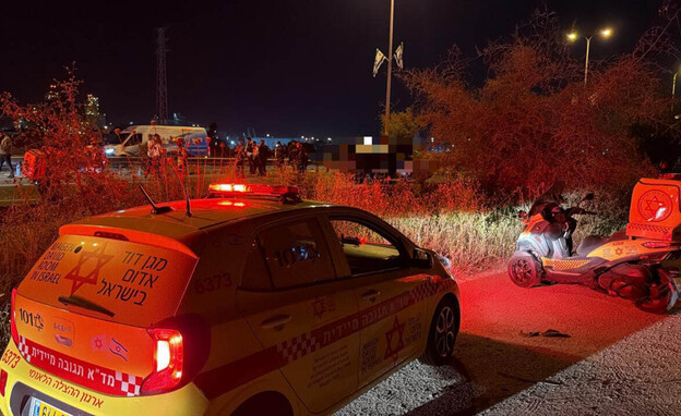 ����� ��� ������ �� ����: ���� ����� �������