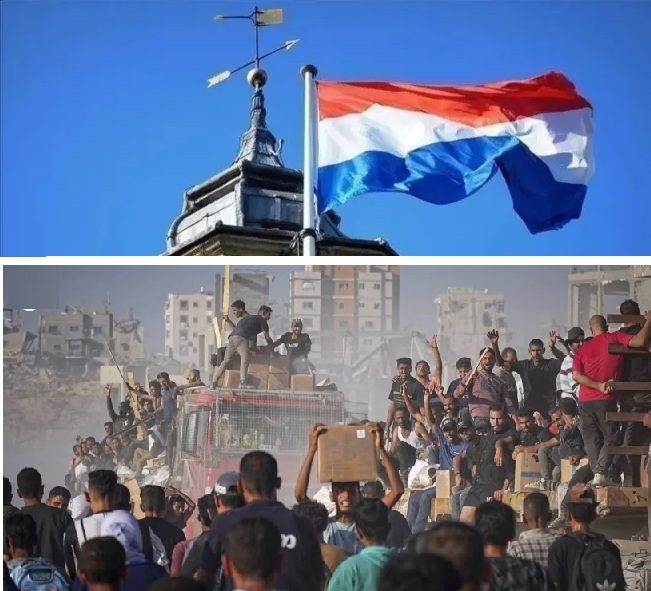 ������ :  ������� ������ ����� ���� ����� ��� ���